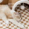 Cross-border bestseller, all-season universal elk cat tunnel, multi-cat hide-and-seek cat toy, all-in-one pet product for play and sleep Application Scenario